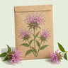 Kraft seed packet illustrated with Lambada Bee Balm Flower, with fresh Lambada Bee Balm Flower beside it