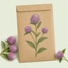 Kraft seed packet illustrated with Lavender Lady Gomphrena, with fresh Lavender Lady Gomphrena beside it