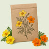 Kraft seed packet illustrated with Lemon and Tangerine Signet Marigold, with fresh Lemon and Tangerine Signet Marigold beside it