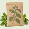 Kraft seed packet illustrated with Lemon Balm Herb, with fresh Lemon Balm Herb beside it