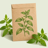 Kraft seed packet illustrated with Lemon Basil Herb, with fresh Lemon Basil Herb beside it