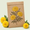 Kraft seed packet illustrated with Lemon Drop Yellow French Marigold, with fresh Lemon Drop Yellow French Marigold beside it
