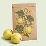 Kraft seed packet illustrated with Lemon Round Cucumber, with fresh Lemon Round Cucumber beside it