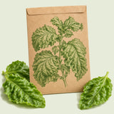 Kraft seed packet illustrated with Lettuce Leaf Sweet Basil, with fresh Lettuce Leaf Sweet Basil beside it