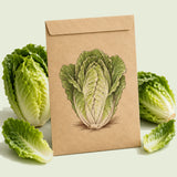 Kraft seed packet illustrated with Little Gem Mini Romaine Lettuce, with fresh Little Gem Mini Romaine Lettuce beside it