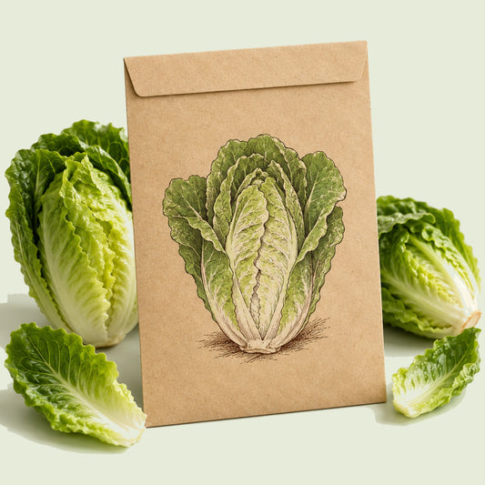 Kraft seed packet illustrated with Little Gem Mini Romaine Lettuce, with fresh Little Gem Mini Romaine Lettuce beside it