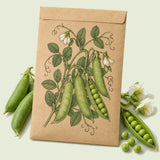 Kraft seed packet illustrated with Little Marvel Shelling Pea, with fresh Little Marvel Shelling Pea beside it