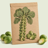 Kraft seed packet illustrated with Long Island Improved Brussels Sprouts, with fresh Long Island Improved Brussels Sprouts beside it