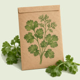 Kraft seed packet illustrated with Long Standing Santo Cilantro, with fresh Long Standing Santo Cilantro beside it