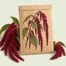Kraft seed packet illustrated with Love Lies Bleeding Amaranth, with fresh Love Lies Bleeding Amaranth beside it