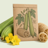 Kraft seed packet illustrated with Luffa Sponge Gourd, with fresh Luffa Sponge Gourd beside it