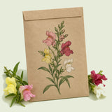Kraft seed packet illustrated with Magic Carpet Dwarf Snapdragon, with fresh Magic Carpet Dwarf Snapdragon beside it