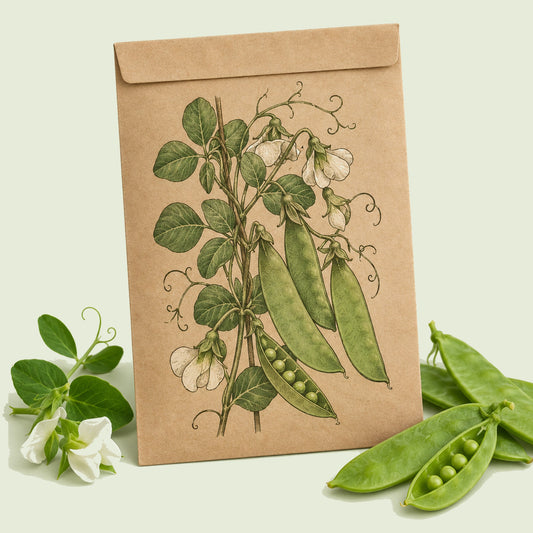 Kraft seed packet illustrated with Mammoth Melting Snow Pea, with fresh Mammoth Melting Snow Pea beside it