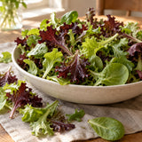 Market Day Mesclun Lettuce Mix Seeds harvest up close