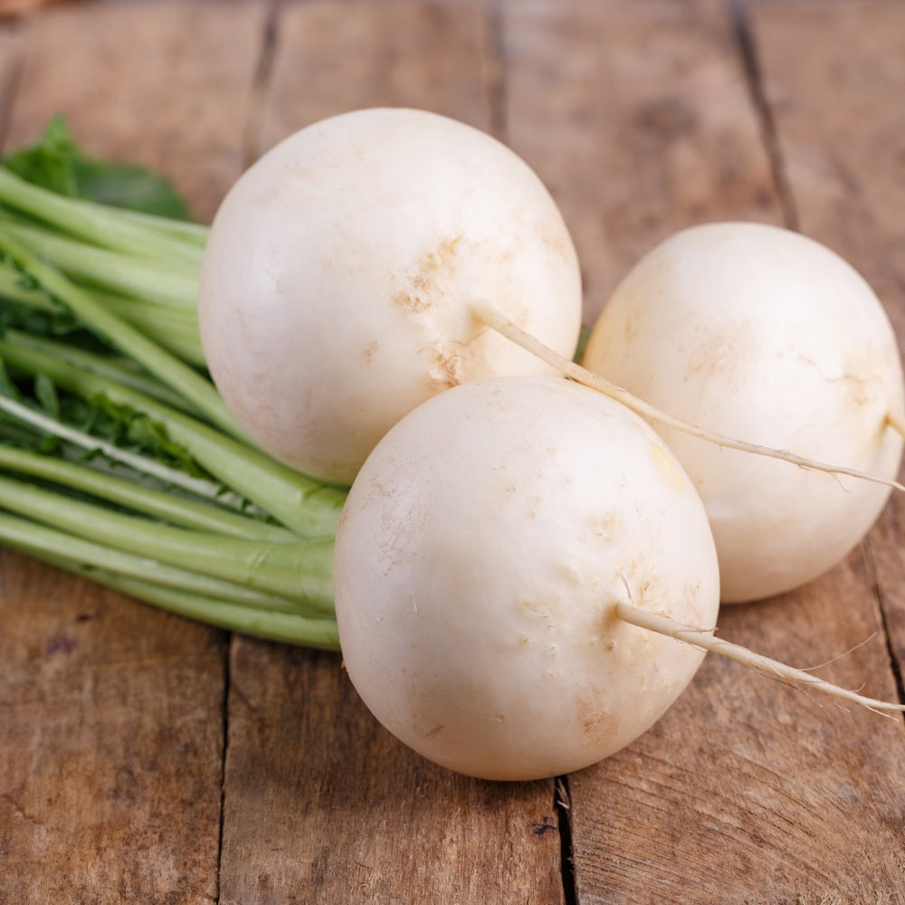 Seed packet for white lady salad turnip seeds