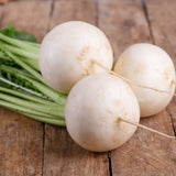 Seed packet for white lady salad turnip seeds