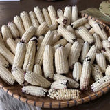 Seed packet for martian jewels blue sweet corn seeds