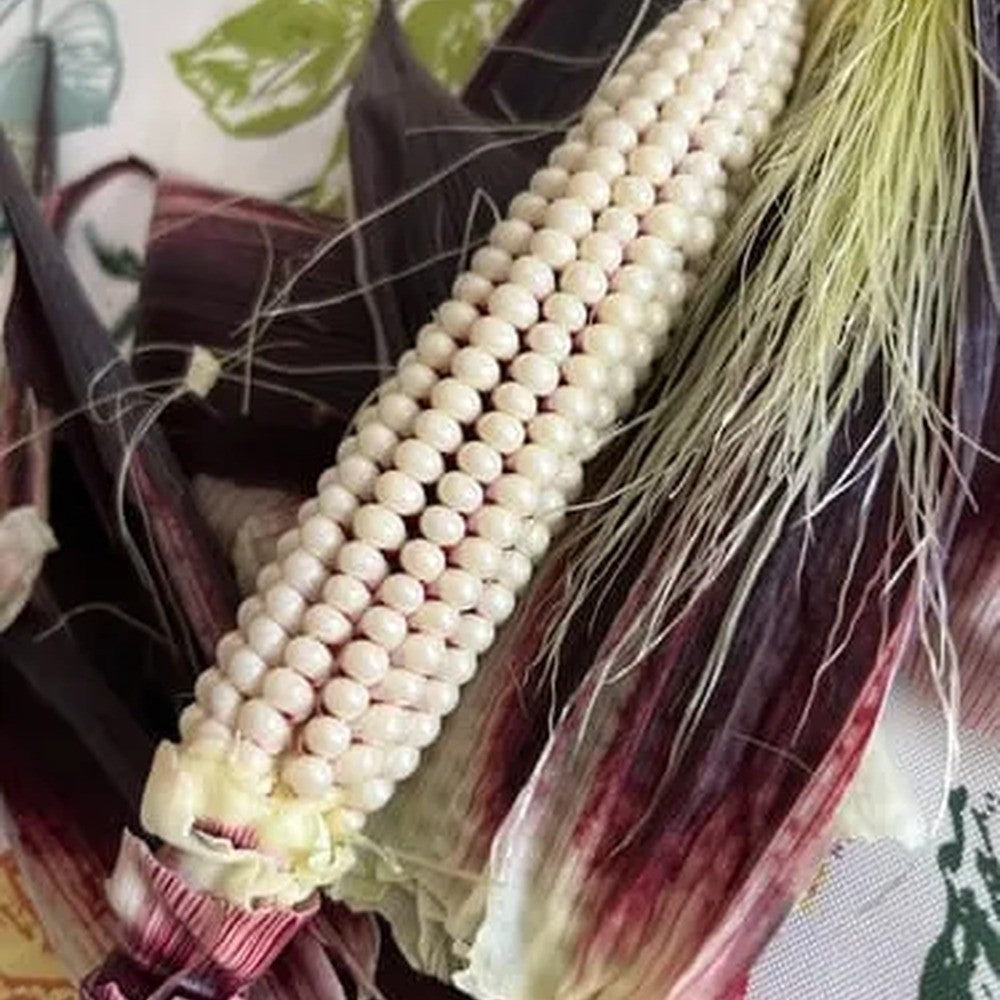 Seed packet for martian jewels blue sweet corn seeds