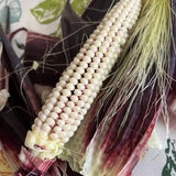 Seed packet for martian jewels blue sweet corn seeds