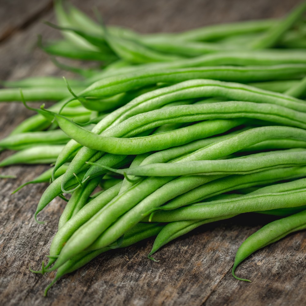 Maxibel Filet Bush Bean seed packet