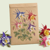 Kraft seed packet illustrated with McKana Giants Columbine Flower, with fresh McKana Giants Columbine Flower beside it