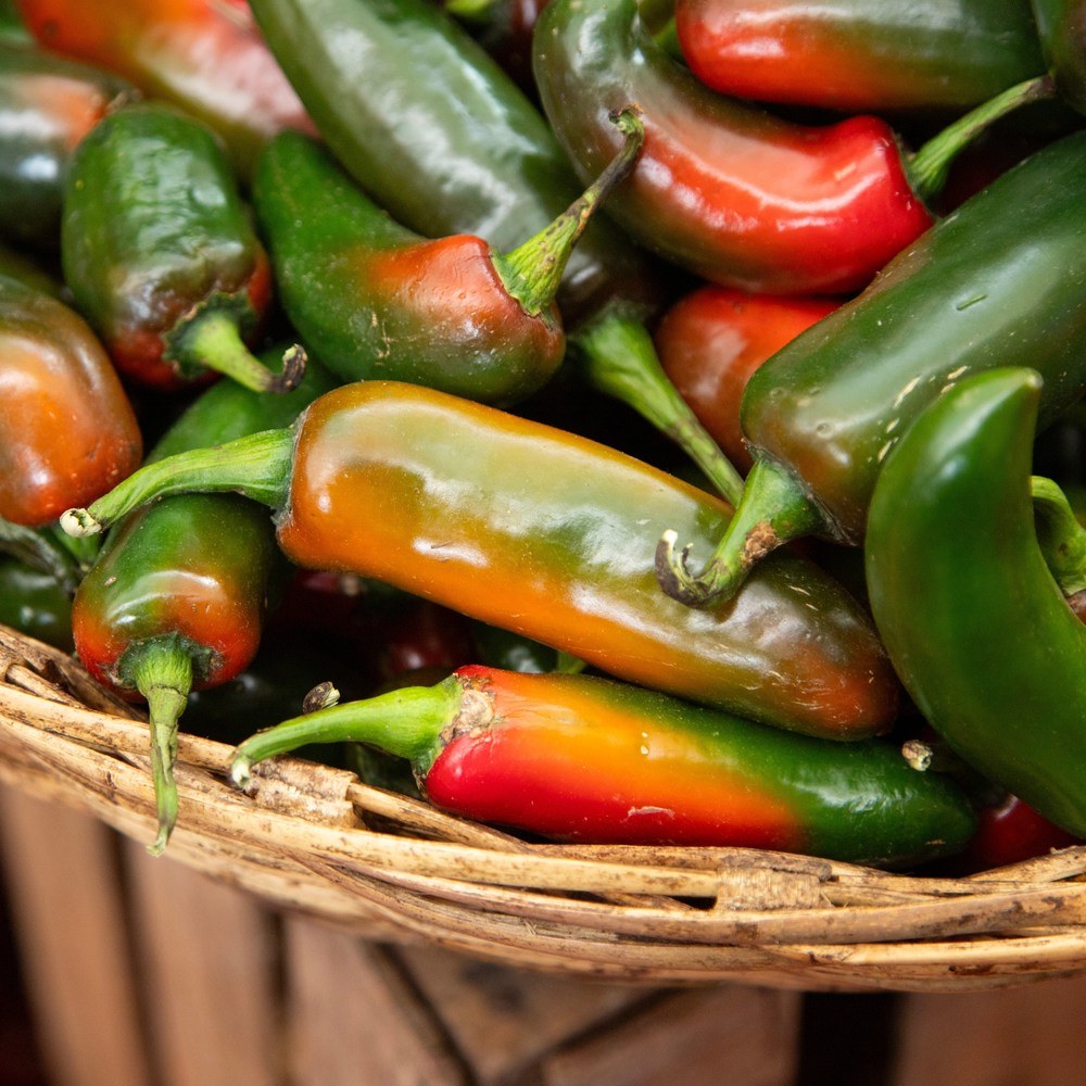 Product image of megatron jalapeno pepper seeds