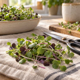 Mellow Microgreens Blend Seeds harvest up close