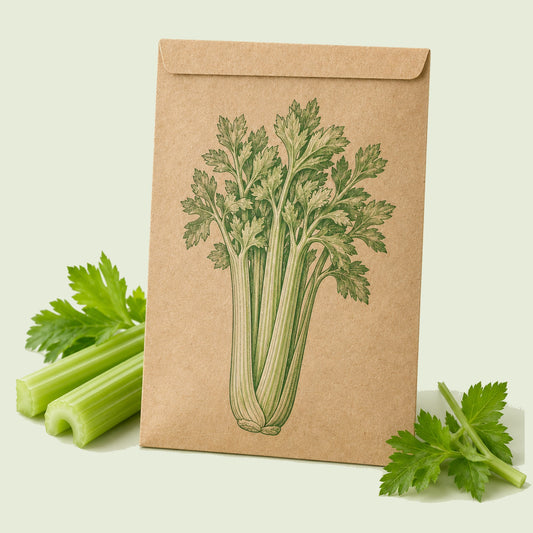 Kraft seed packet illustrated with Merengo Celery, with fresh Merengo Celery beside it