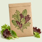 Kraft seed packet illustrated with Mesclun Six Lettuce Blend, with fresh Mesclun Six Lettuce Blend beside it
