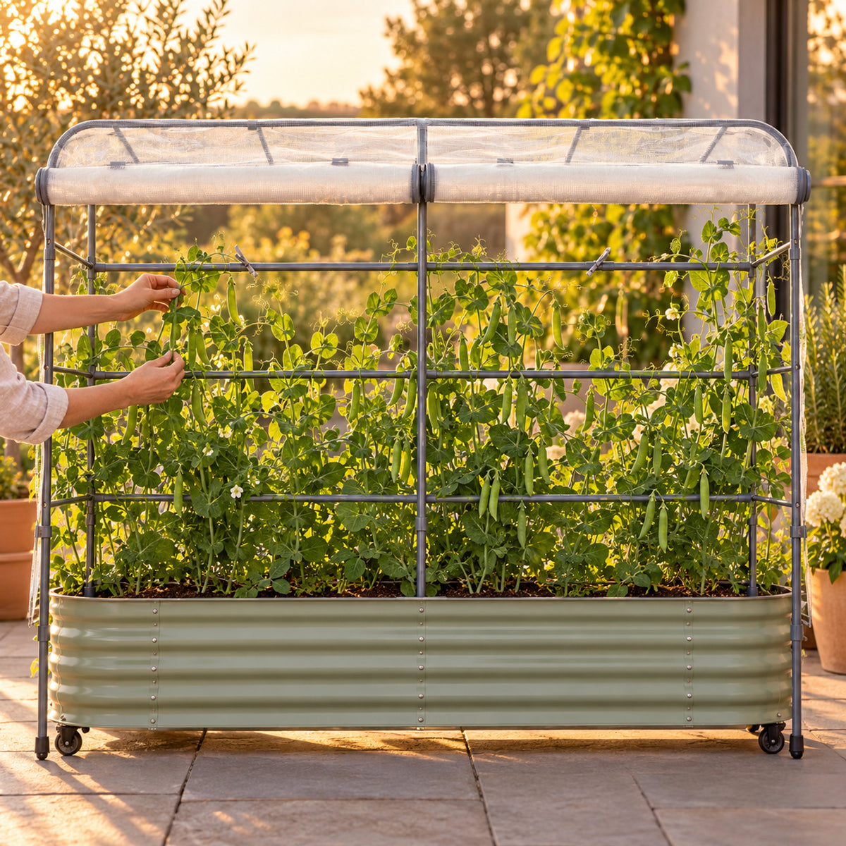 Mesh Cover and Trellis for Rolling Garden Bed in use in a home garden