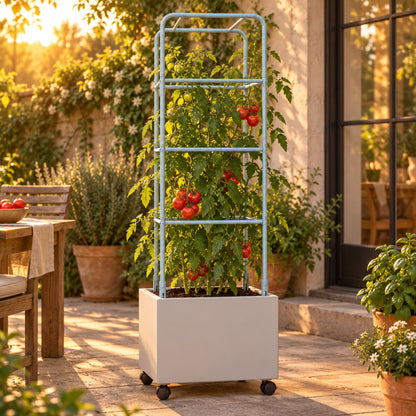 Metal Tomato Cage for Rolling Cube Planter in use in a home garden