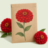 Kraft seed packet illustrated with Meteor Zinnia, with fresh Meteor Zinnia beside it