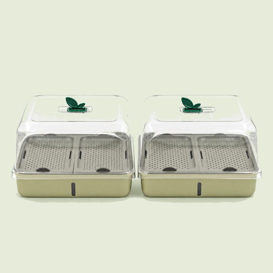 Microgreens Planters, Two Pack on a soft green background