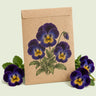 Kraft seed packet illustrated with Midnight Glow Pansy, with fresh Midnight Glow Pansy beside it