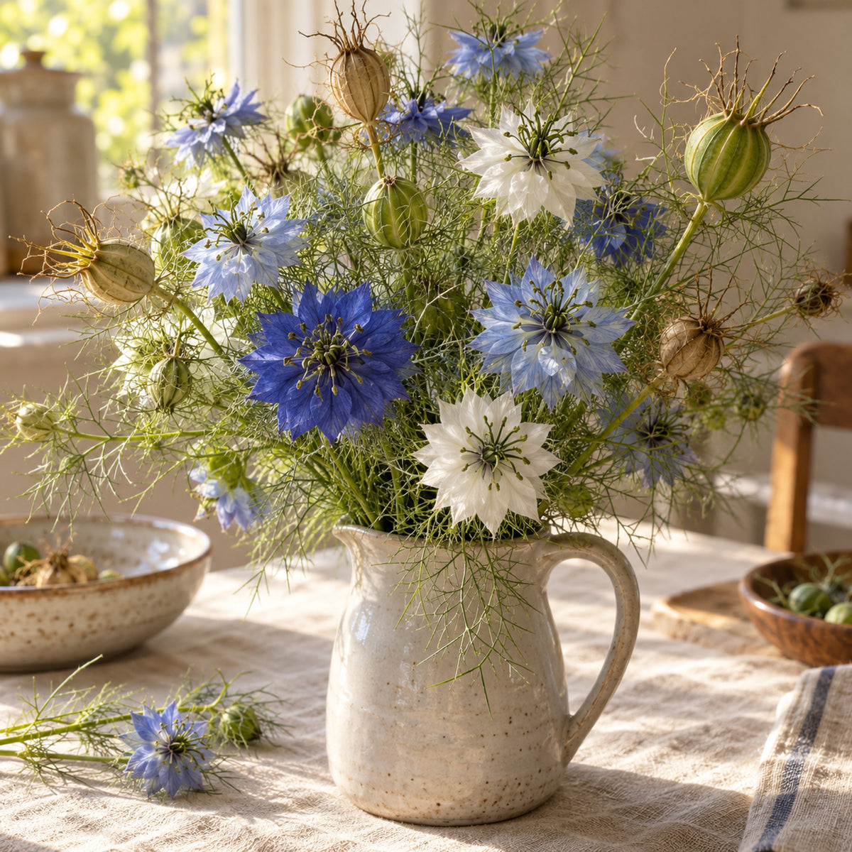 Miss Jekyll Love In A Mist Blend Seeds harvest up close