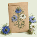 Kraft seed packet illustrated with Miss Jekyll Love In A Mist Blend, with fresh Miss Jekyll Love In A Mist Blend beside it