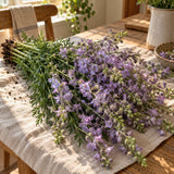 Misty Lavender Larkspur Seeds harvest up close