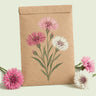 Kraft seed packet illustrated with Mixed Cornflower, with fresh Mixed Cornflower beside it