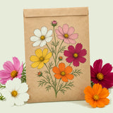 Kraft seed packet illustrated with Mixed Cosmos, with fresh Mixed Cosmos beside it