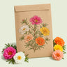 Kraft seed packet illustrated with Mixed Moss Rose, with fresh Mixed Moss Rose beside it