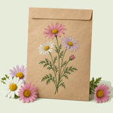 Kraft seed packet illustrated with Mixed Pyrethrum, with fresh Mixed Pyrethrum beside it