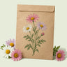 Kraft seed packet illustrated with Mixed Pyrethrum, with fresh Mixed Pyrethrum beside it