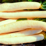 Seed packet for miyashige white daikon radish seeds