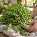 Mizuna Mustard Seeds harvest up close