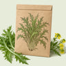 Kraft seed packet illustrated with Mizuna Mustard, with fresh Mizuna Mustard beside it