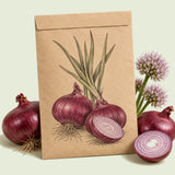 Kraft seed packet illustrated with Monastrell Red Onion, with fresh Monastrell Red Onion beside it