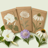Kraft seed packet illustrated with Moon Garden Flower Seed Bundle, with fresh Moon Garden Flower Seed Bundle beside it
