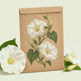 Kraft seed packet illustrated with Moonflower Heirloom, with fresh Moonflower Heirloom beside it