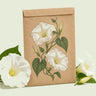 Kraft seed packet illustrated with Moonflower Heirloom, with fresh Moonflower Heirloom beside it