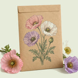 Kraft seed packet illustrated with Mother of Pearl Poppy, with fresh Mother of Pearl Poppy beside it